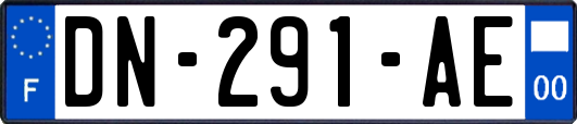 DN-291-AE