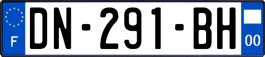 DN-291-BH