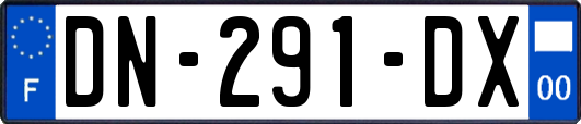 DN-291-DX