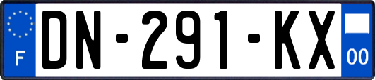 DN-291-KX