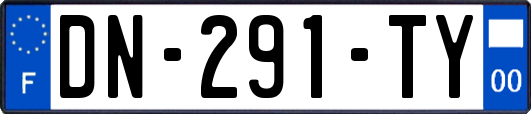 DN-291-TY