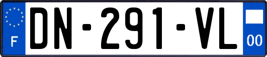 DN-291-VL