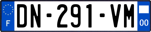 DN-291-VM