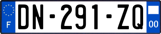 DN-291-ZQ
