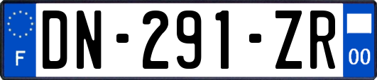 DN-291-ZR