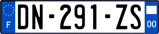 DN-291-ZS