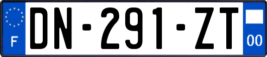 DN-291-ZT