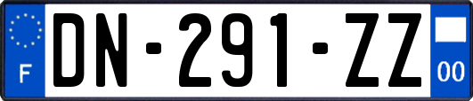 DN-291-ZZ