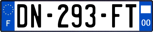 DN-293-FT