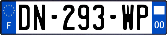 DN-293-WP