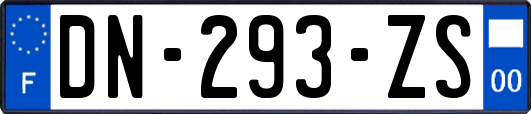 DN-293-ZS