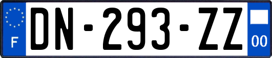 DN-293-ZZ