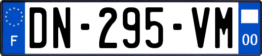 DN-295-VM