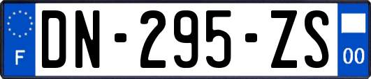 DN-295-ZS