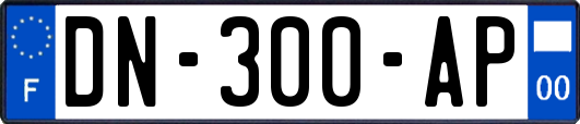 DN-300-AP