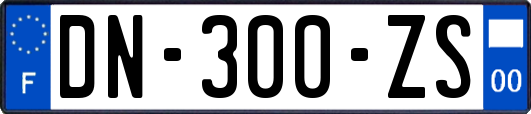 DN-300-ZS