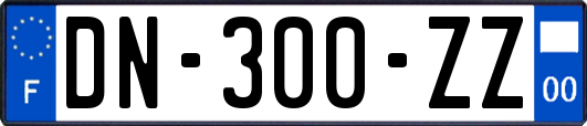 DN-300-ZZ