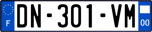 DN-301-VM