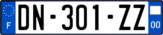 DN-301-ZZ