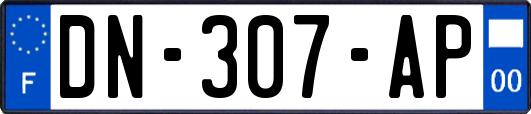 DN-307-AP