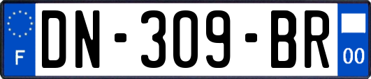 DN-309-BR