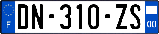 DN-310-ZS