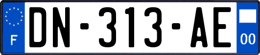 DN-313-AE