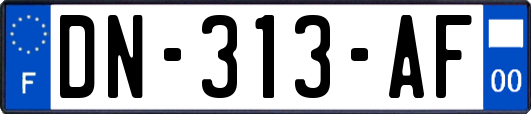 DN-313-AF