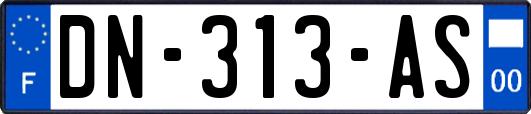 DN-313-AS