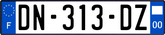 DN-313-DZ