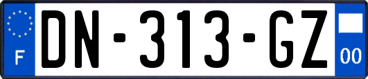 DN-313-GZ