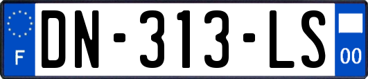DN-313-LS