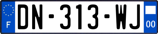 DN-313-WJ