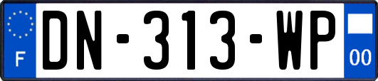 DN-313-WP