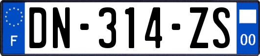 DN-314-ZS