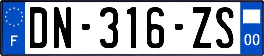 DN-316-ZS