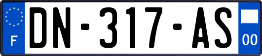 DN-317-AS