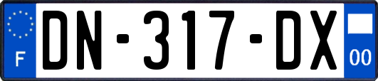 DN-317-DX