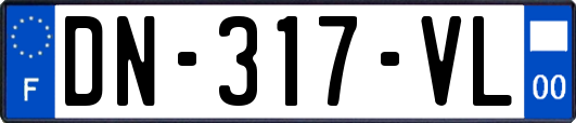 DN-317-VL