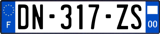 DN-317-ZS