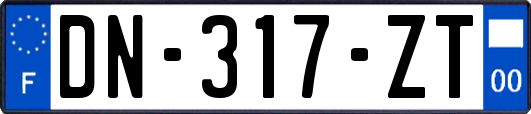 DN-317-ZT