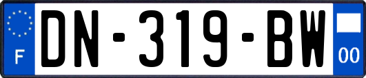 DN-319-BW