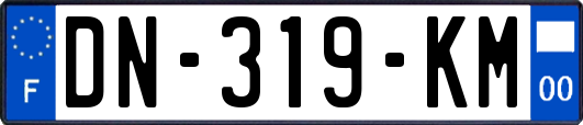 DN-319-KM