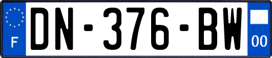 DN-376-BW