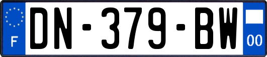 DN-379-BW