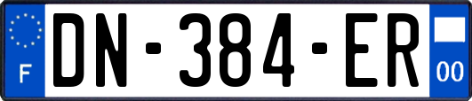 DN-384-ER