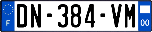 DN-384-VM
