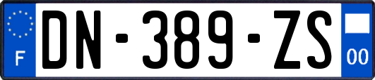 DN-389-ZS