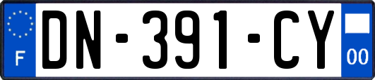 DN-391-CY