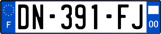 DN-391-FJ